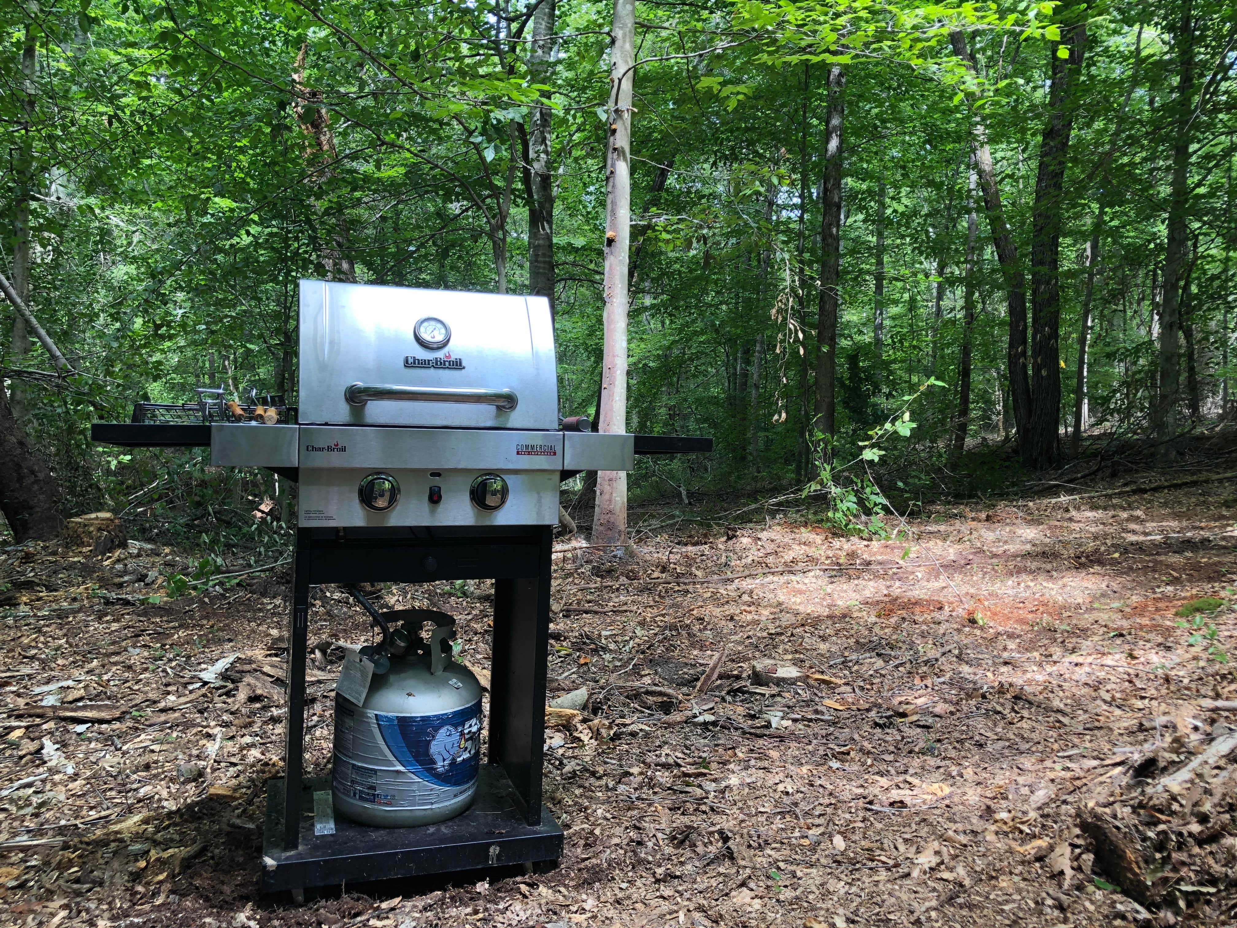 Camper-submitted photo at Phantom Hill Forest Farm near Palmyra, VA