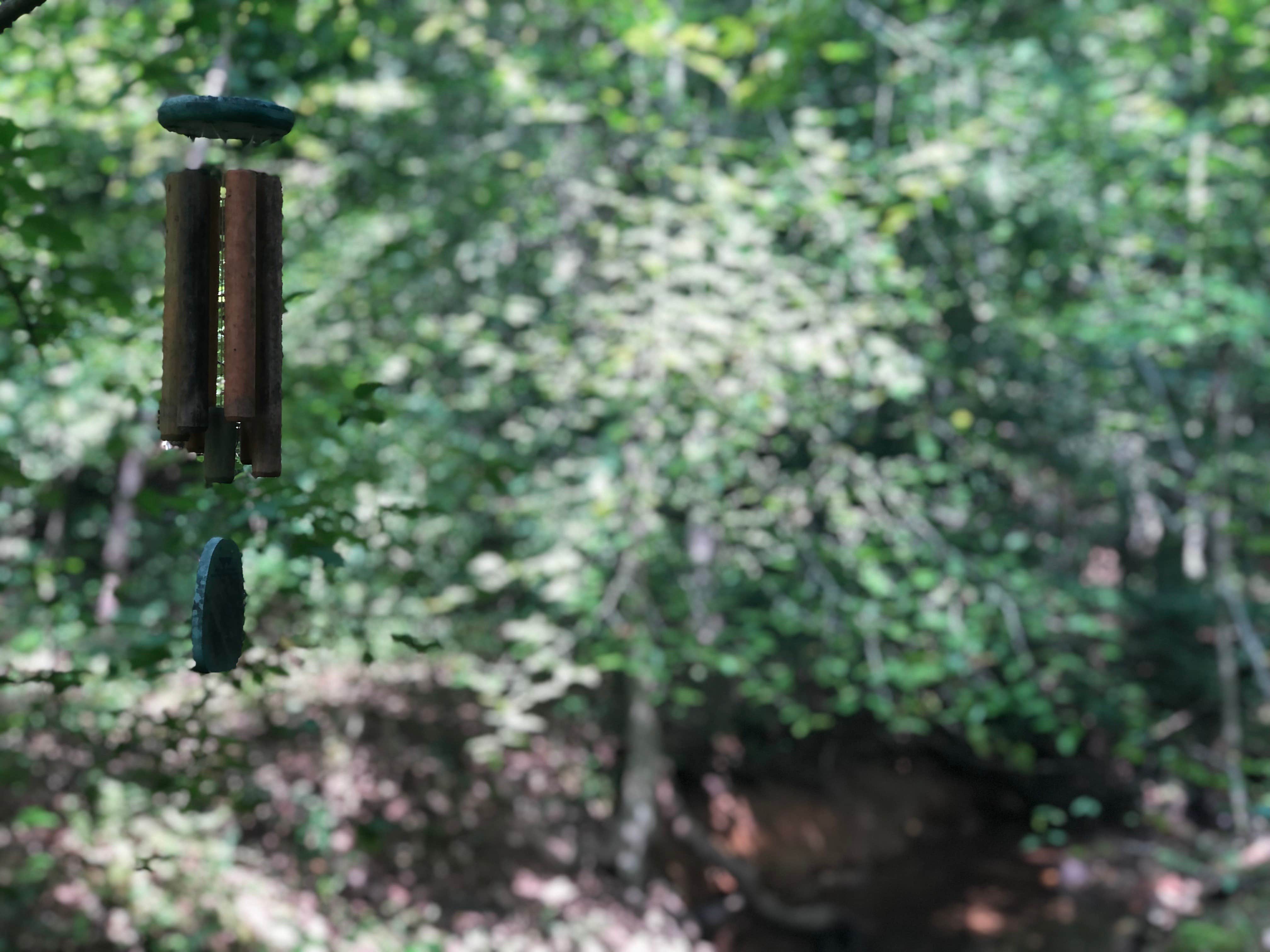 Camper-submitted photo at Phantom Hill Forest Farm near Palmyra, VA