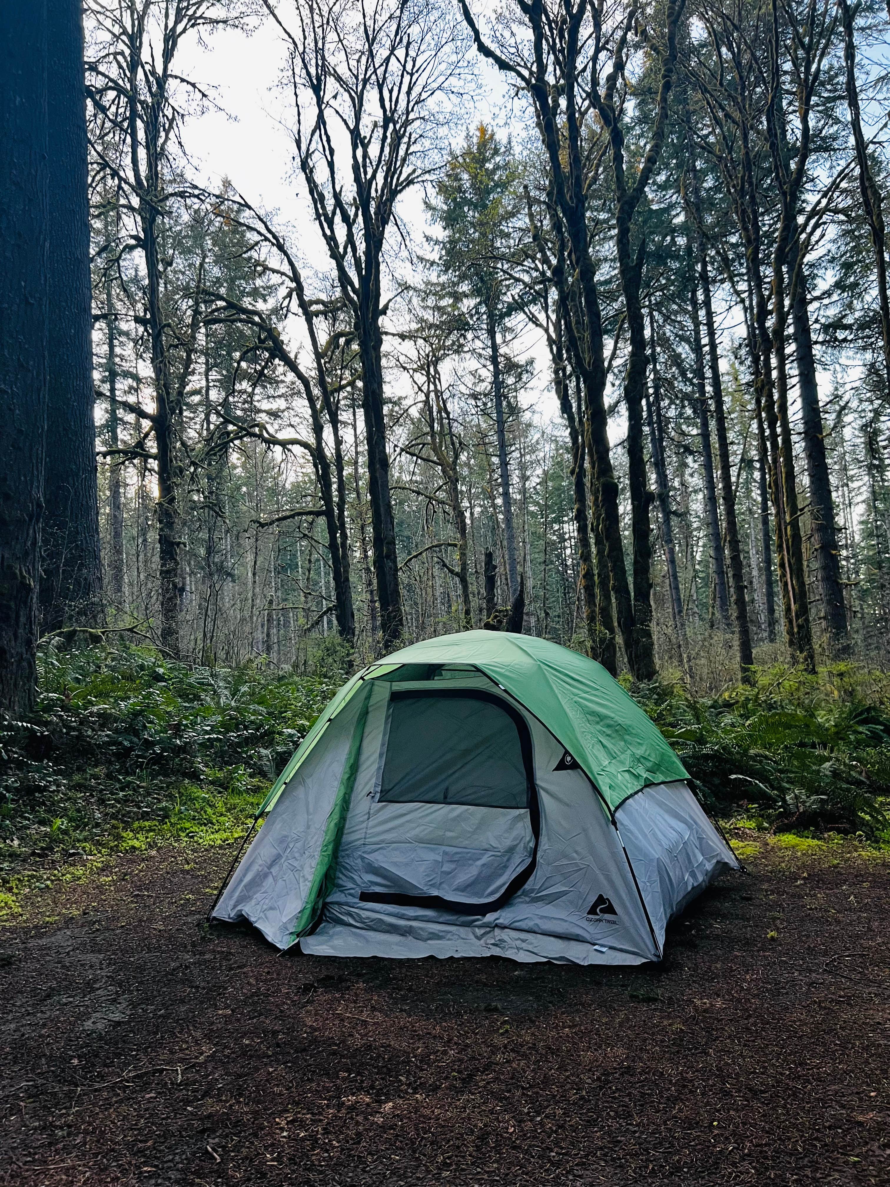 Boston S.'s photo at Seaquest State Park Campground near Clatskanie, OR