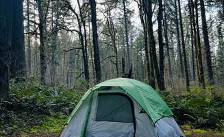 Boston S.'s photo at Seaquest State Park Campground near Clatskanie, OR