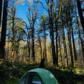 Review photo of Seaquest State Park Campground by Boston S., May 20, 2023
