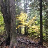 Review photo of South Nicolet Bay Campground — Peninsula State Park by Lee D., October 11, 2018