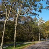 Review photo of Mathews Arm Campground — Shenandoah National Park by Mary S., October 11, 2018