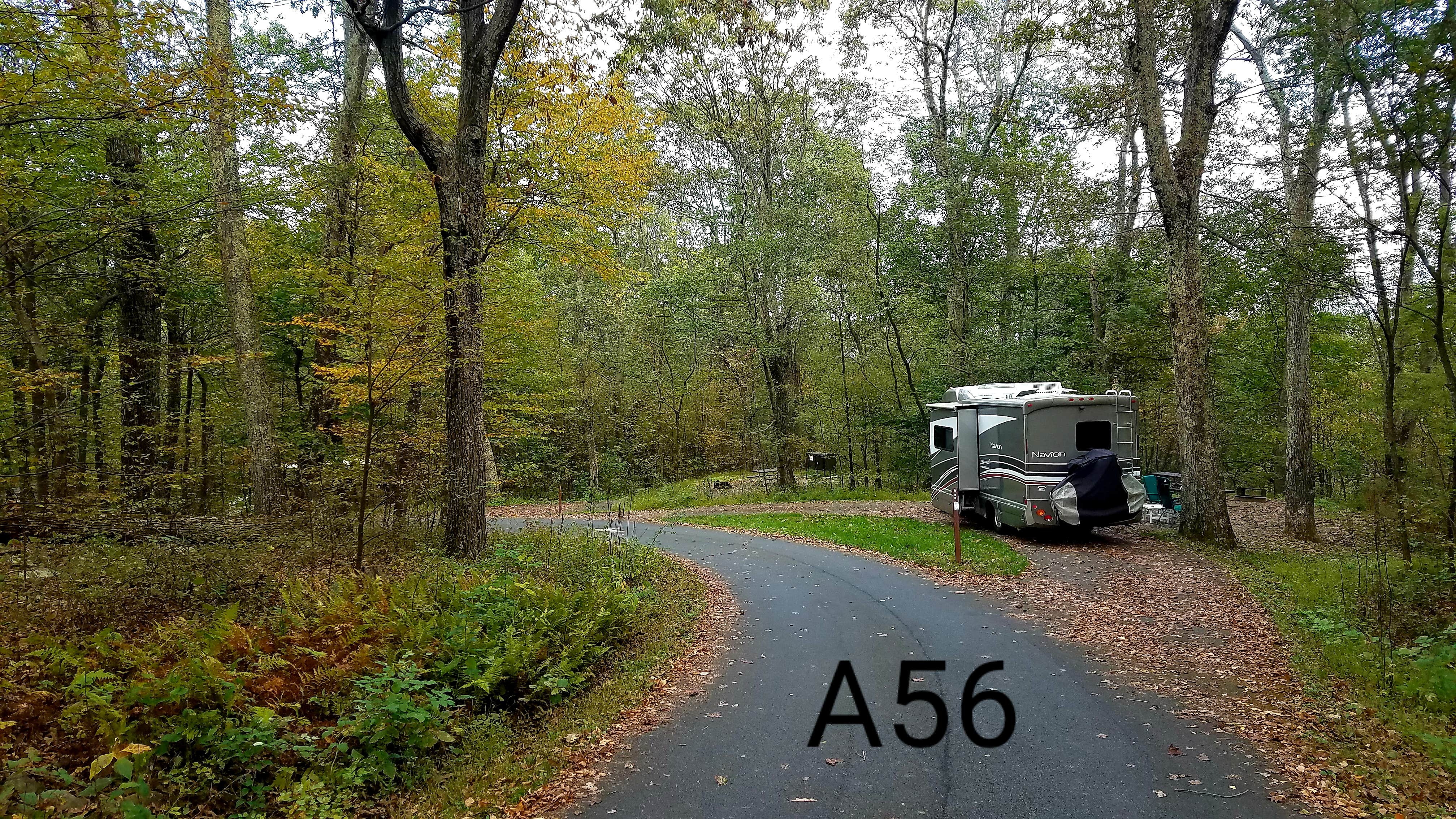 Mary S.'s photo of rv camping at Mathews Arm Campground — Shenandoah National Park near Stanley, VA