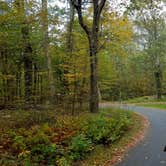 Review photo of Mathews Arm Campground — Shenandoah National Park by Mary S., October 11, 2018