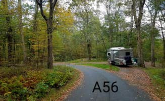 Mary S.'s photo of rv camping at Mathews Arm Campground — Shenandoah National Park near Edinburg, VA