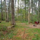 Review photo of Mathews Arm Campground — Shenandoah National Park by Mary S., October 11, 2018