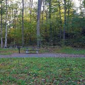 Review photo of Mathews Arm Campground — Shenandoah National Park by Mary S., October 11, 2018
