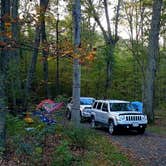 Review photo of Mathews Arm Campground — Shenandoah National Park by Mary S., October 11, 2018