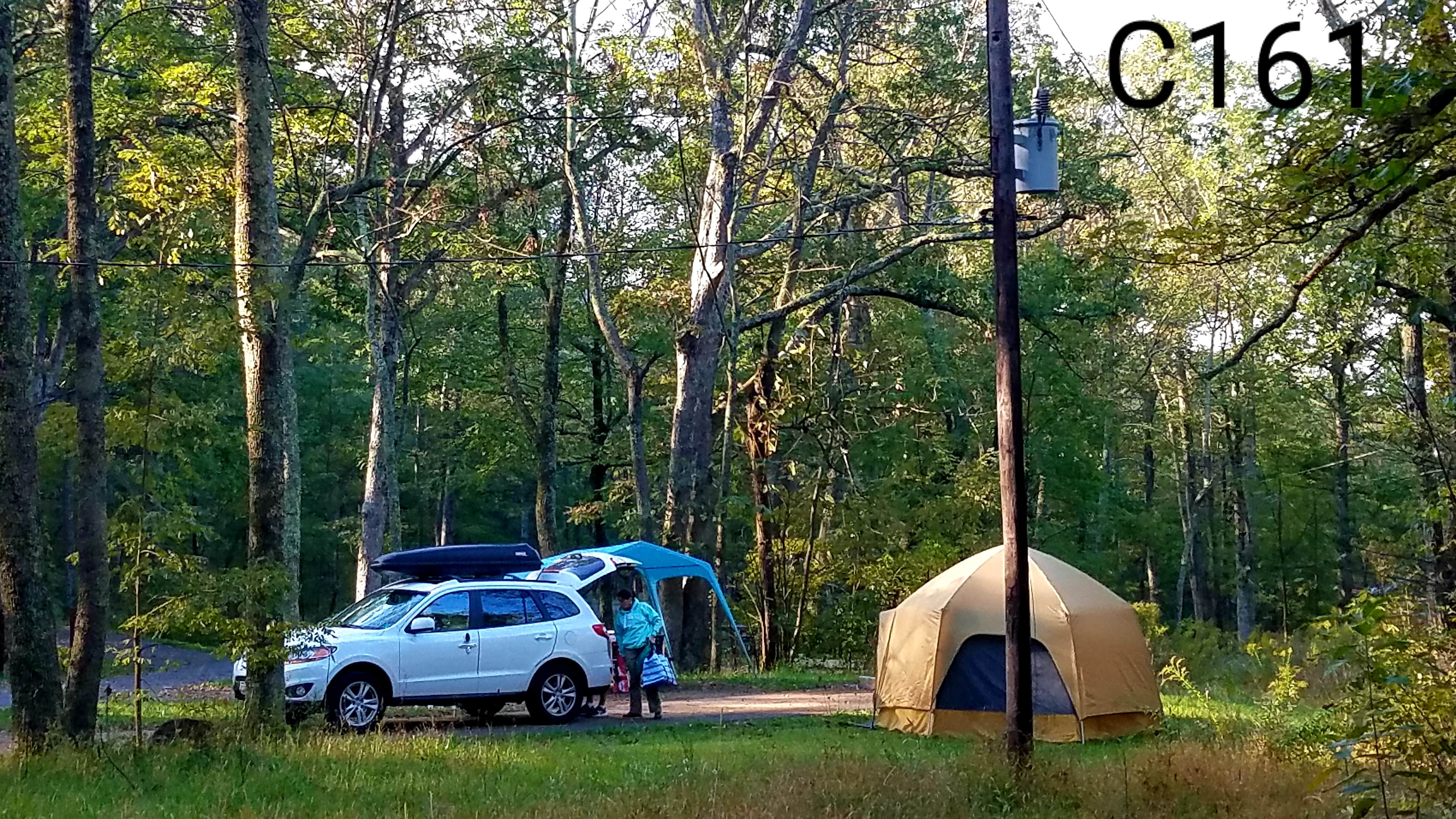 Mary S.'s photo of rv camping at Mathews Arm Campground — Shenandoah National Park near Sperryville, VA
