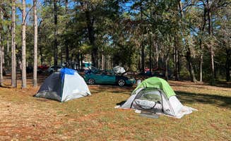Marguerite L.'s photo at Krul Lake near Silver Springs, FL