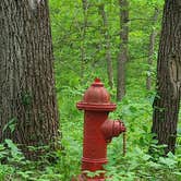 Review photo of Ash Grove Campground — Indian Cave State Park by Tarrah C., May 20, 2023