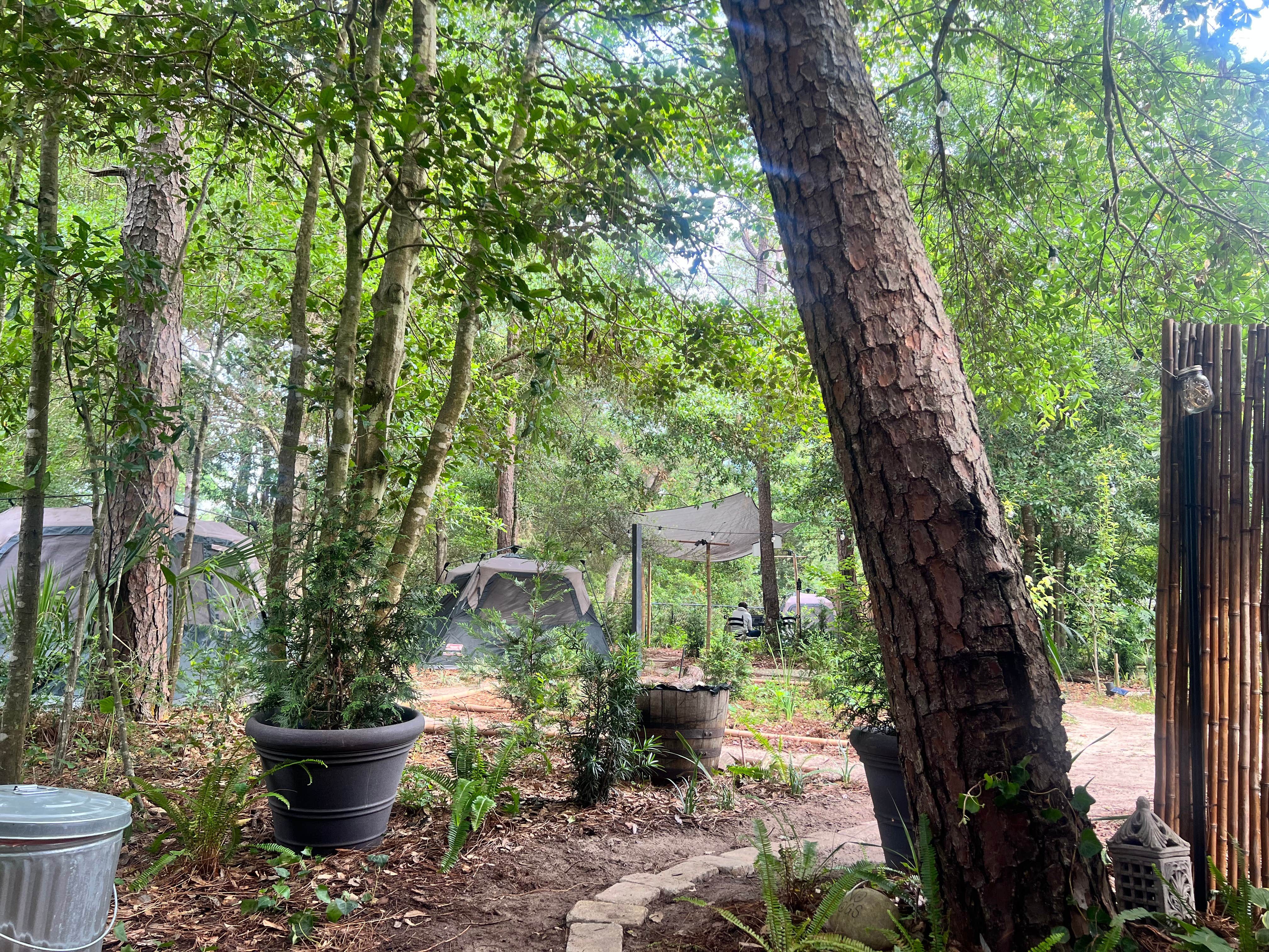Paula T.'s photo of tent camping at Zen Rustic Tiny Cabin - PERMANENTLY CLOSED near Fort Walton Beach, FL