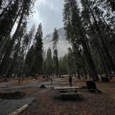 Review photo of Upper Pines Campground — Yosemite National Park by Joseph R., May 20, 2023