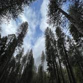 Review photo of Upper Pines Campground — Yosemite National Park by Joseph R., May 20, 2023