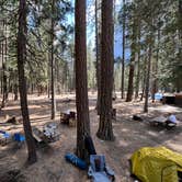 Review photo of Upper Pines Campground — Yosemite National Park by Joseph R., May 20, 2023