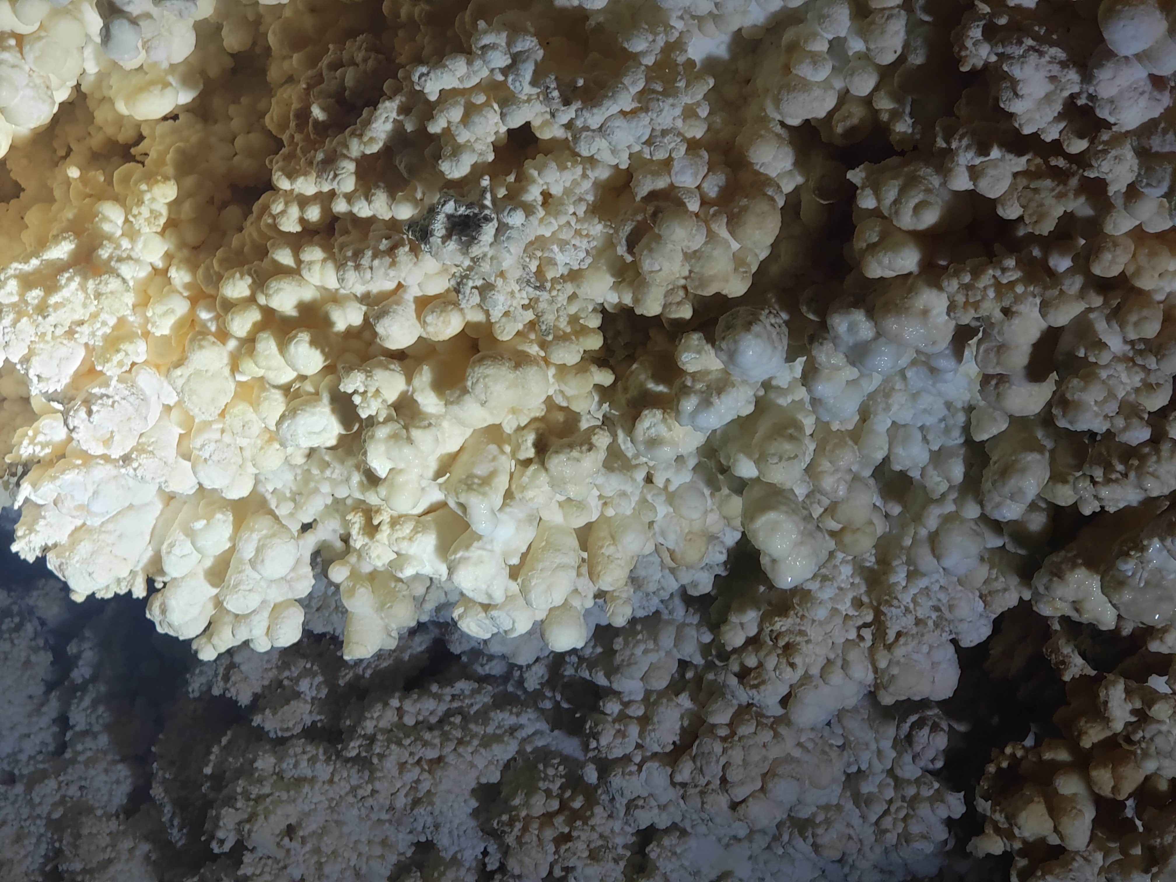 Bates Family Ranch Camping | Baker, UT