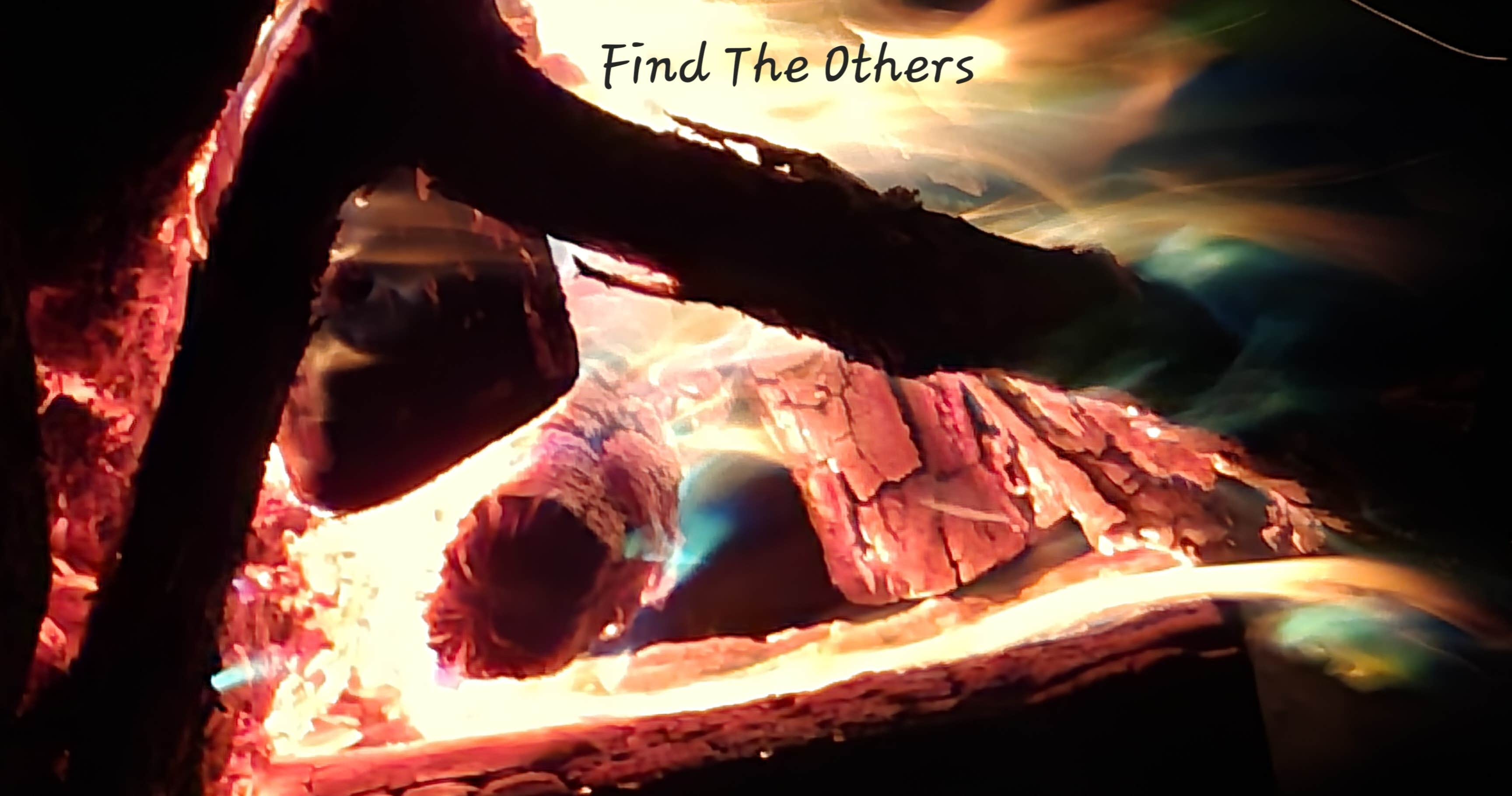 Camper-submitted photo at Hippie Holler near Rock Hill, SC