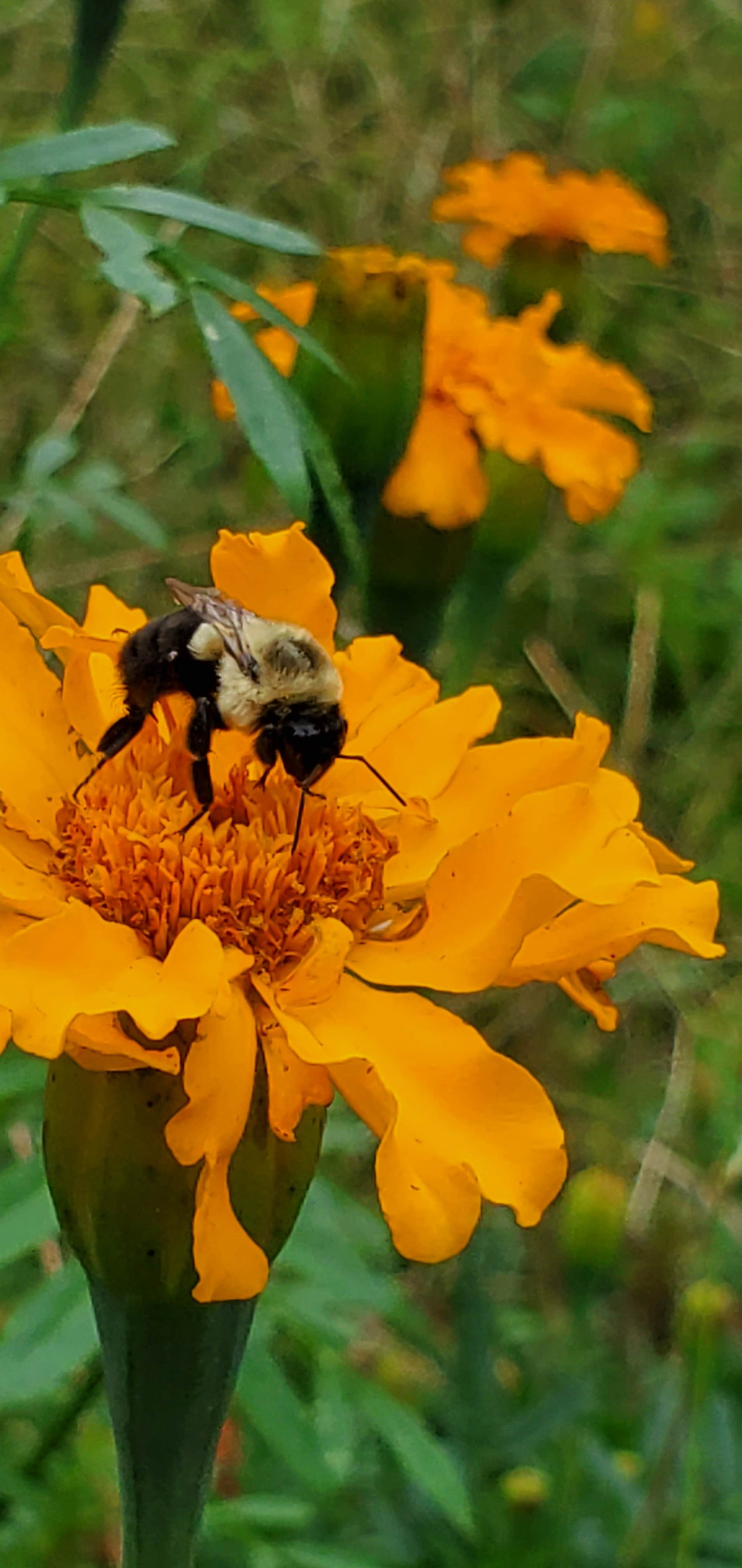 Camper-submitted photo at Hippie Holler near Rock Hill, SC