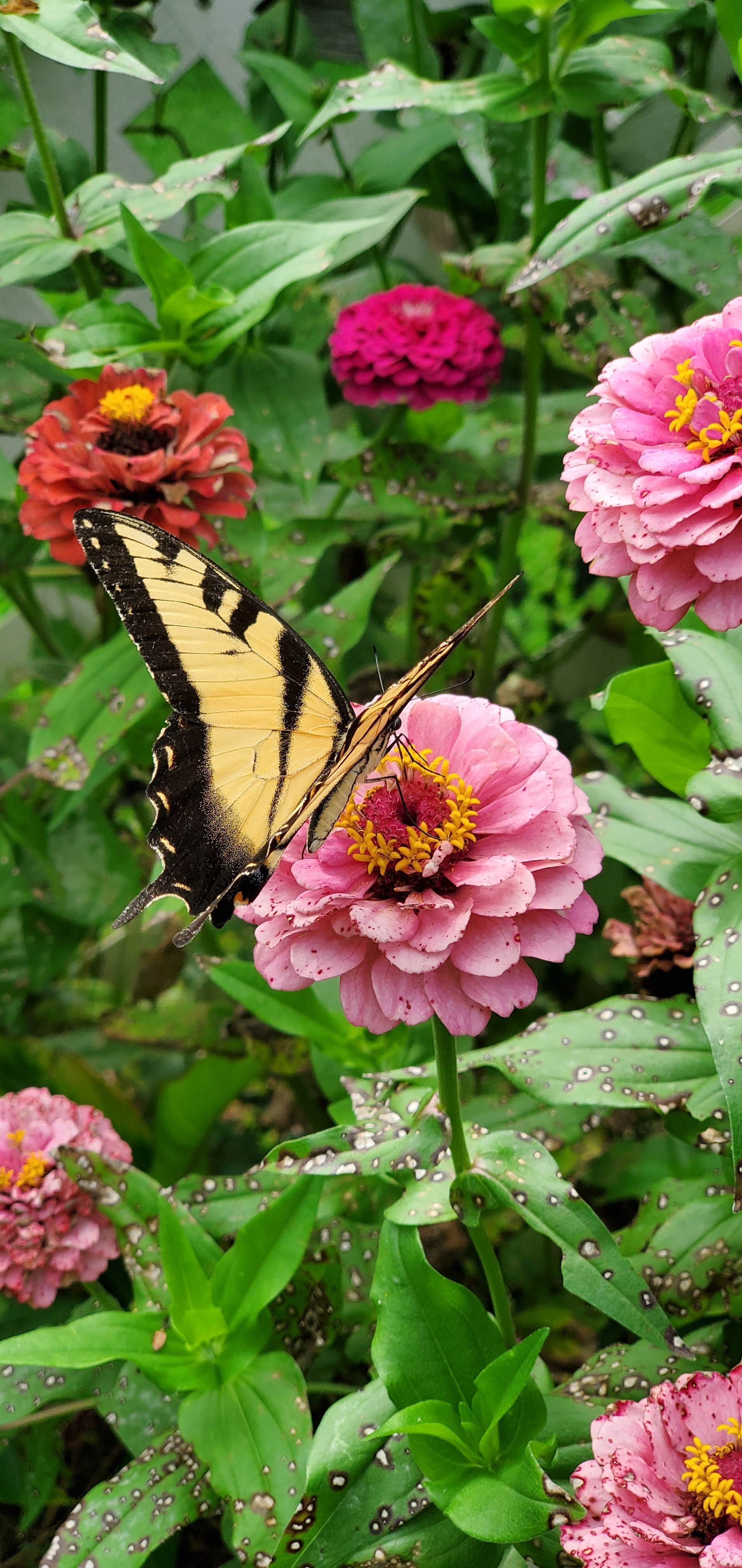 Camper-submitted photo at Hippie Holler near Rock Hill, SC