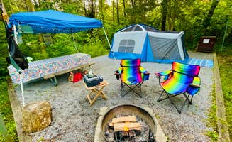Michelle L.'s photo at Andy Guest/Shenandoah River State Park Campground near Winchester, VA