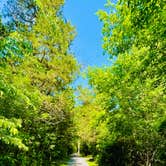 Review photo of Andy Guest/Shenandoah River State Park Campground by Michelle L., May 20, 2023