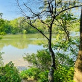 Review photo of Andy Guest/Shenandoah River State Park Campground by Michelle L., May 20, 2023