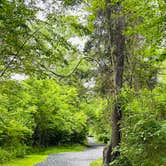 Review photo of Andy Guest/Shenandoah River State Park Campground by Michelle L., May 20, 2023