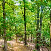 Review photo of Andy Guest/Shenandoah River State Park Campground by Michelle L., May 20, 2023