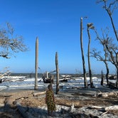 Review photo of Hunting Island State Park Campground by Christa K., May 20, 2023
