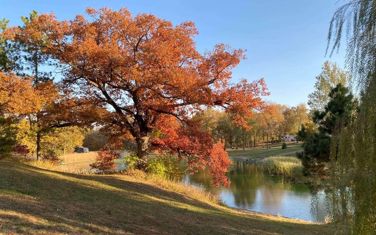 Camper submitted image from River Oaks RV Park - 1