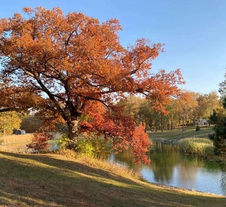 Camper-submitted photo from River Oaks RV Park