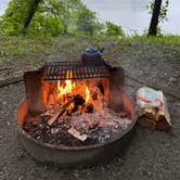 Review photo of COE Alabama River Lakes Chilatchee Creek Campground by Bud P., May 20, 2023