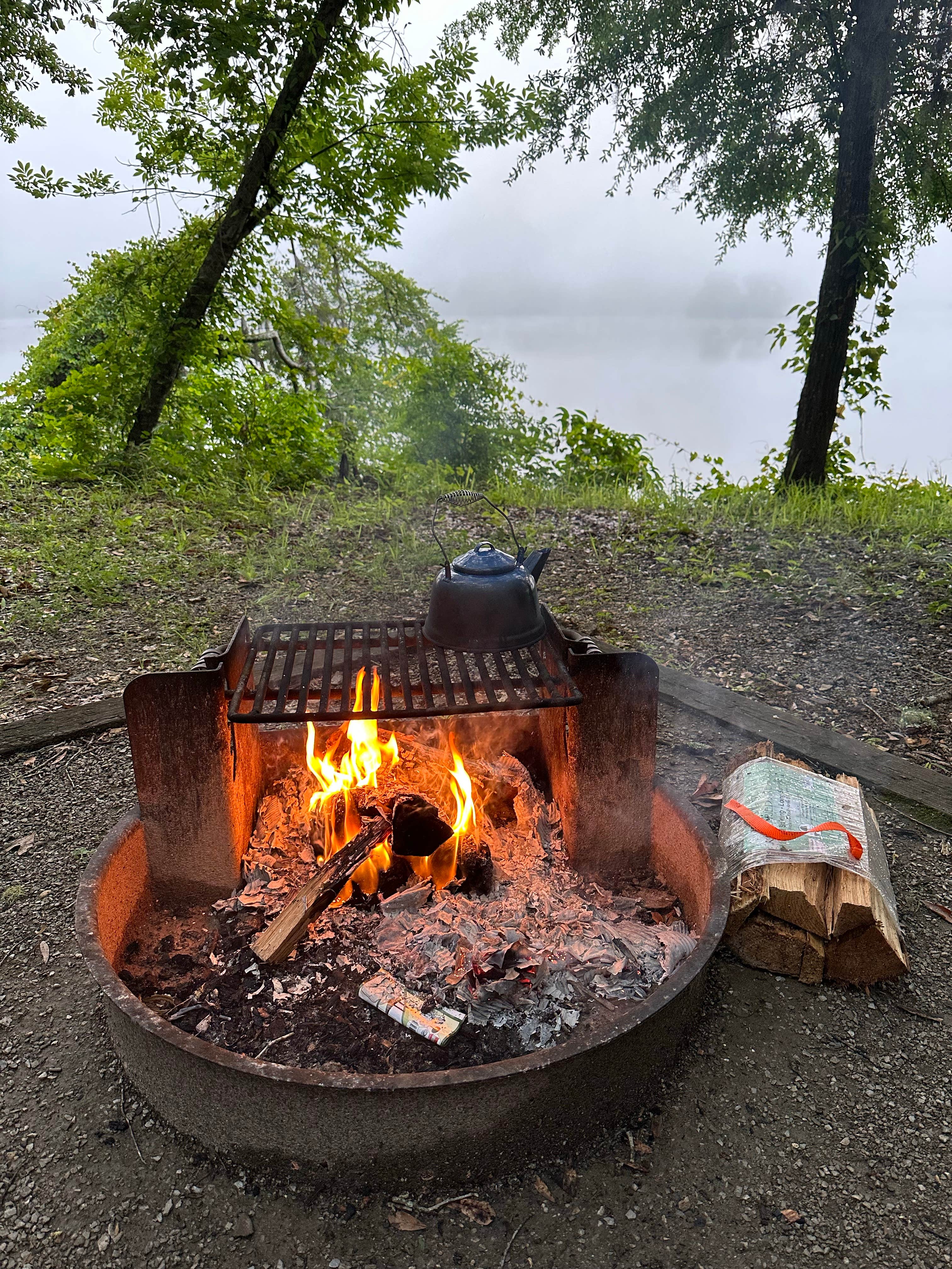 Camper submitted image from COE Alabama River Lakes Chilatchee Creek Campground - 2