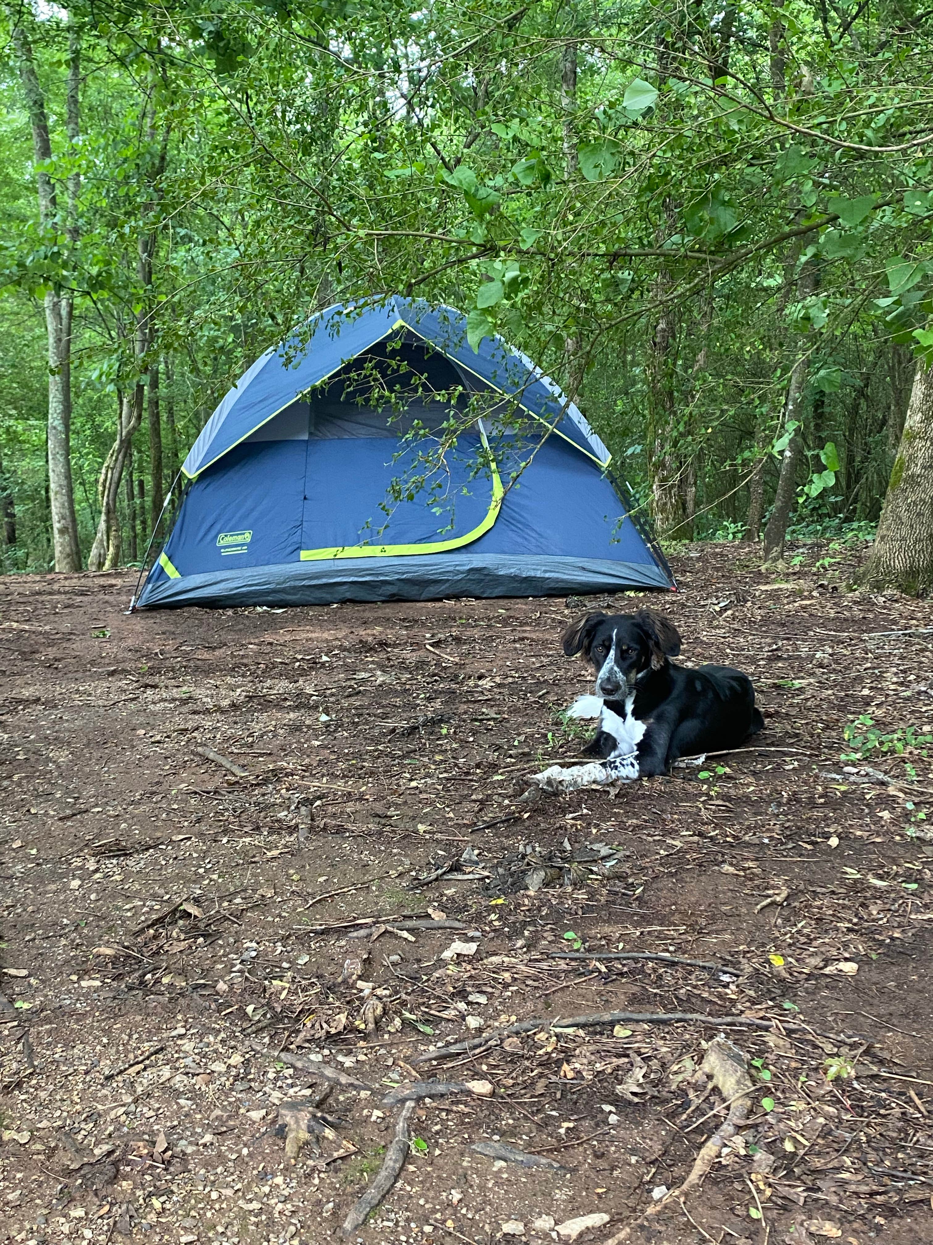 Camper submitted image from Choccoocco Creek Campground - 4