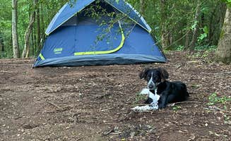 kristen A.'s photo of camping with pets at Choccolocco Creek Campground near Vestavia Hills, AL