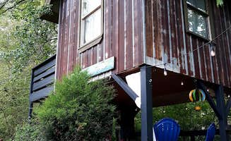 MICKEY D.'s photo of a cabin at North Sungate Farms Treehouse Glamping near Cherry Log, GA
