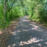 Review photo of Rhea Springs Recreation Area County Park and Campground by Michael W., May 19, 2023