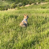 Review photo of Nature Haven at Red Rock Lake by Zachary J., May 20, 2023