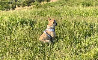 Zachary J.'s photo of camping with pets at Nature Haven at Red Rock Lake near Des Moines, IA