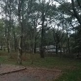 Review photo of Big Meadows Campground — Shenandoah National Park by Mary S., October 11, 2018