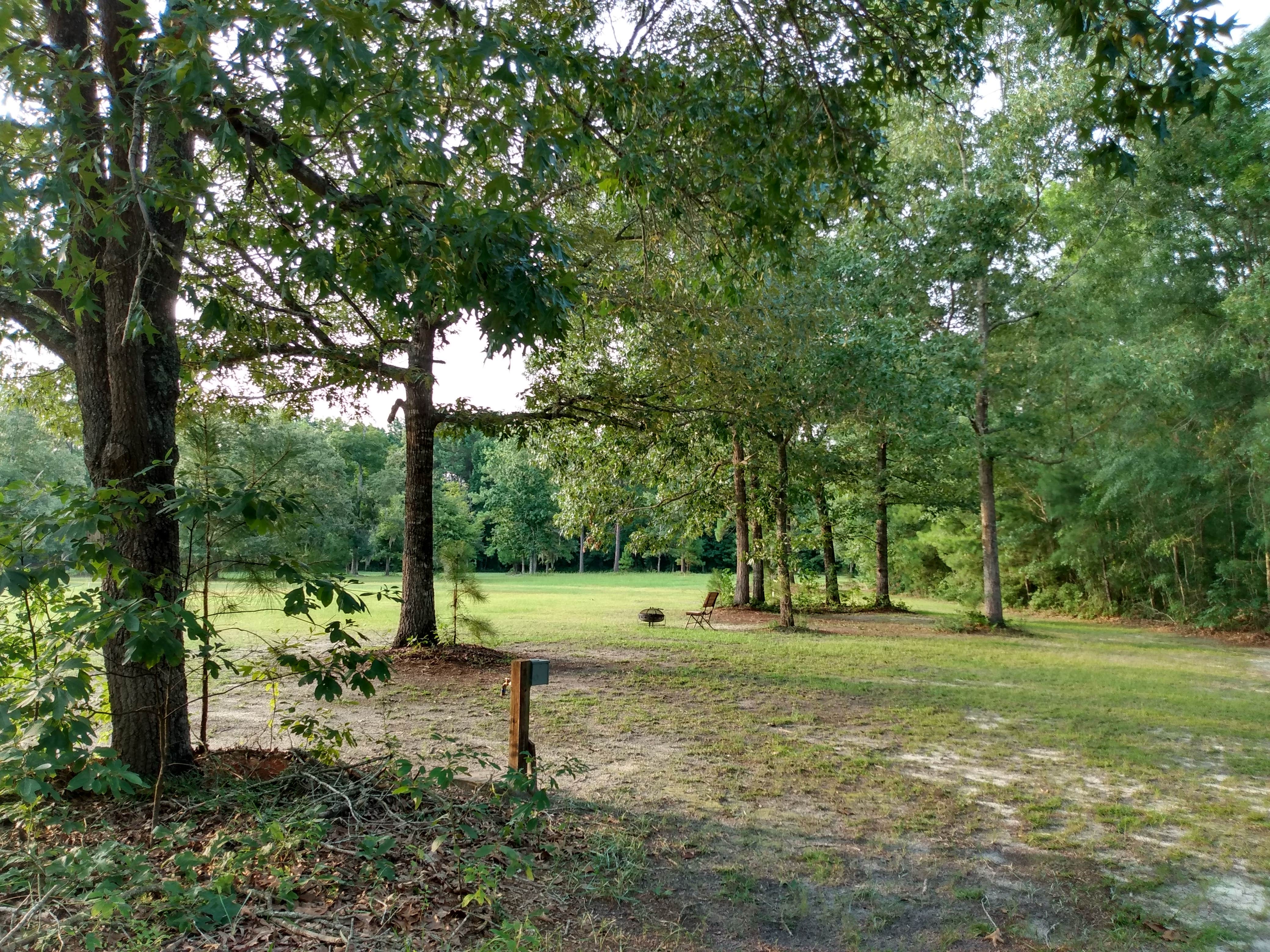 Camper-submitted photo at RV's Acres (he's the dog) near Drayton, SC