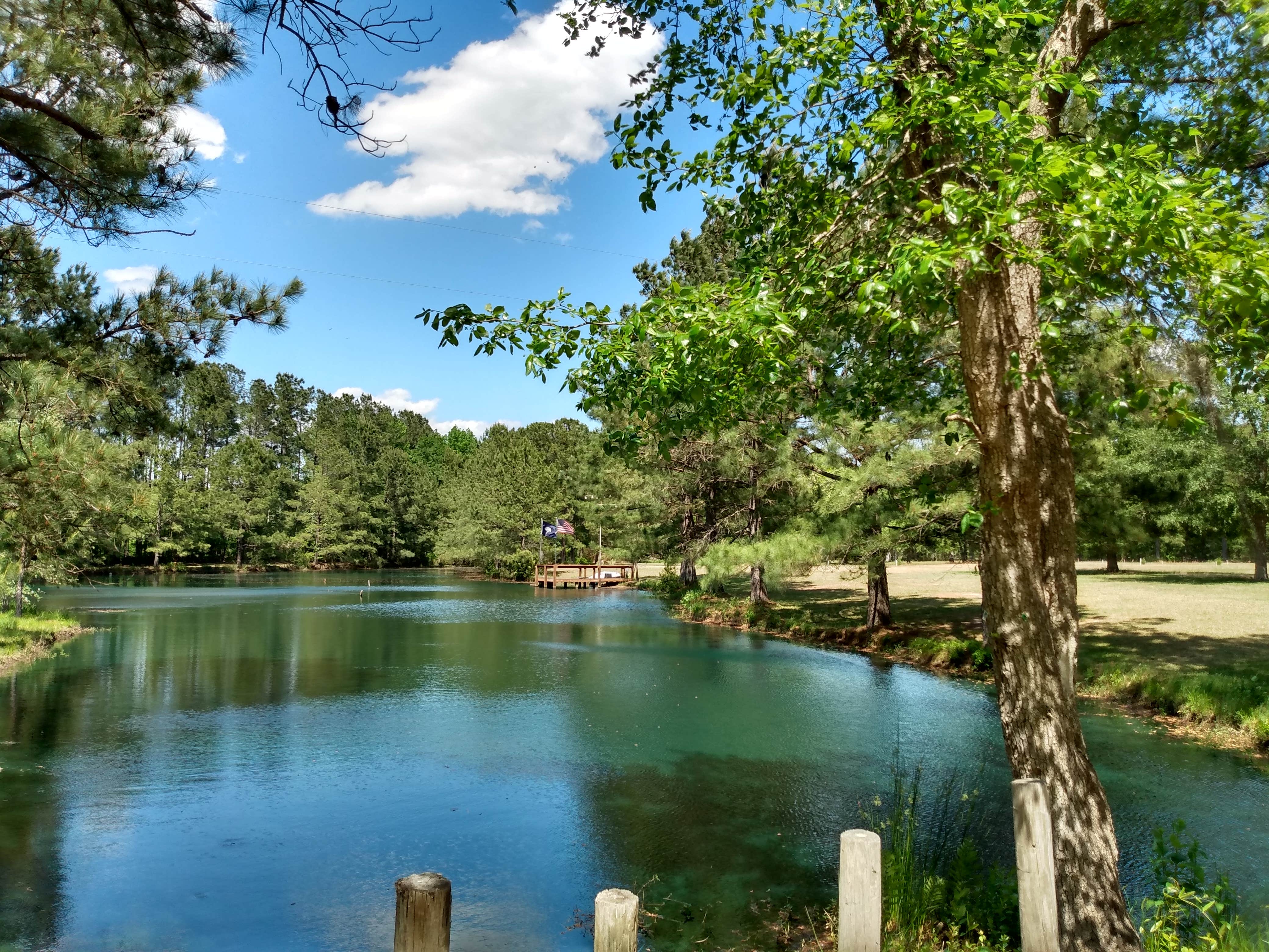 Camper-submitted photo at RV's Acres (he's the dog) near Drayton, SC