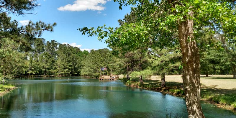 Camper submitted image from RV's Acres (he's the dog)