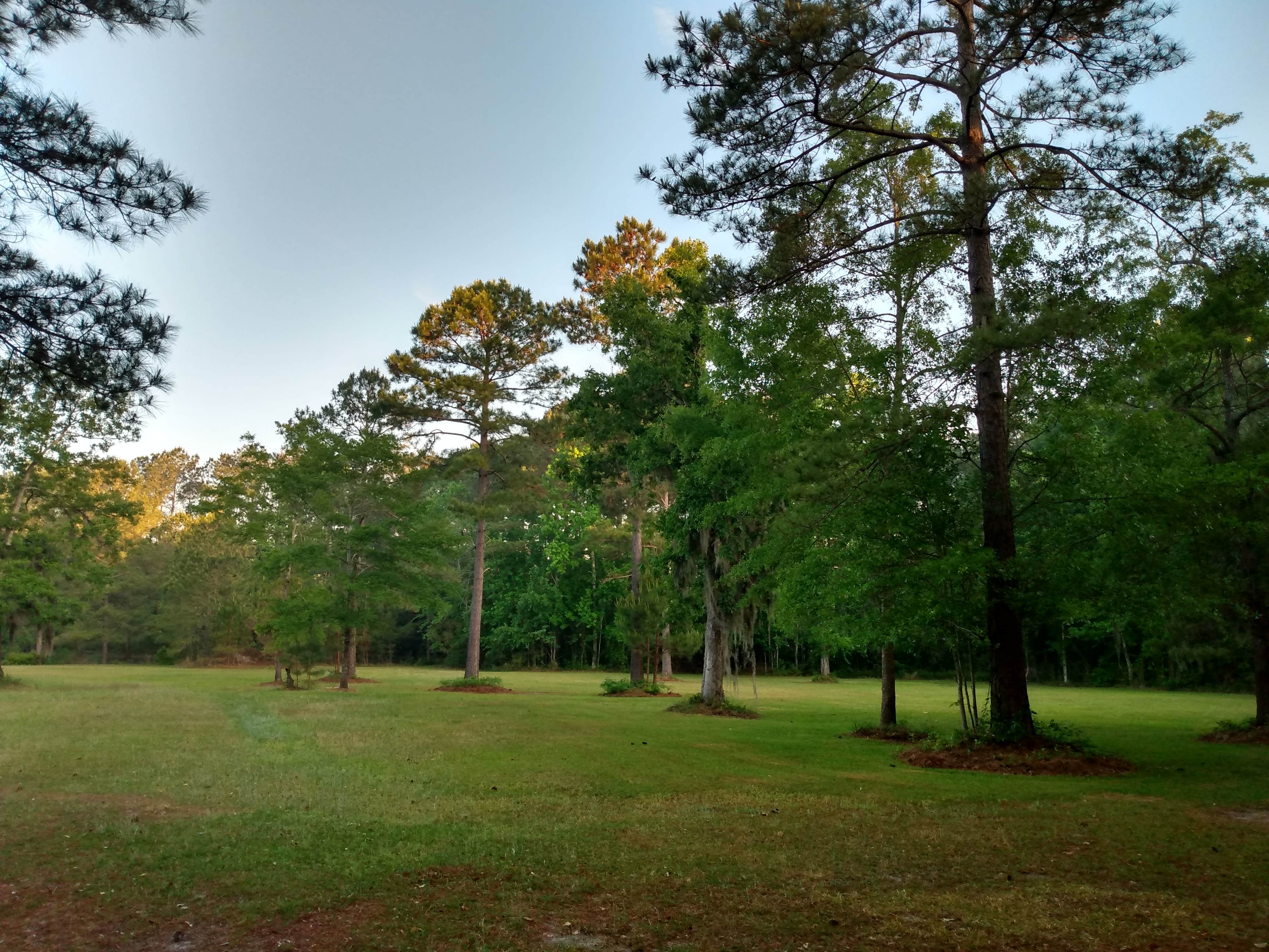 Camper-submitted photo at RV's Acres (he's the dog) near Drayton, SC