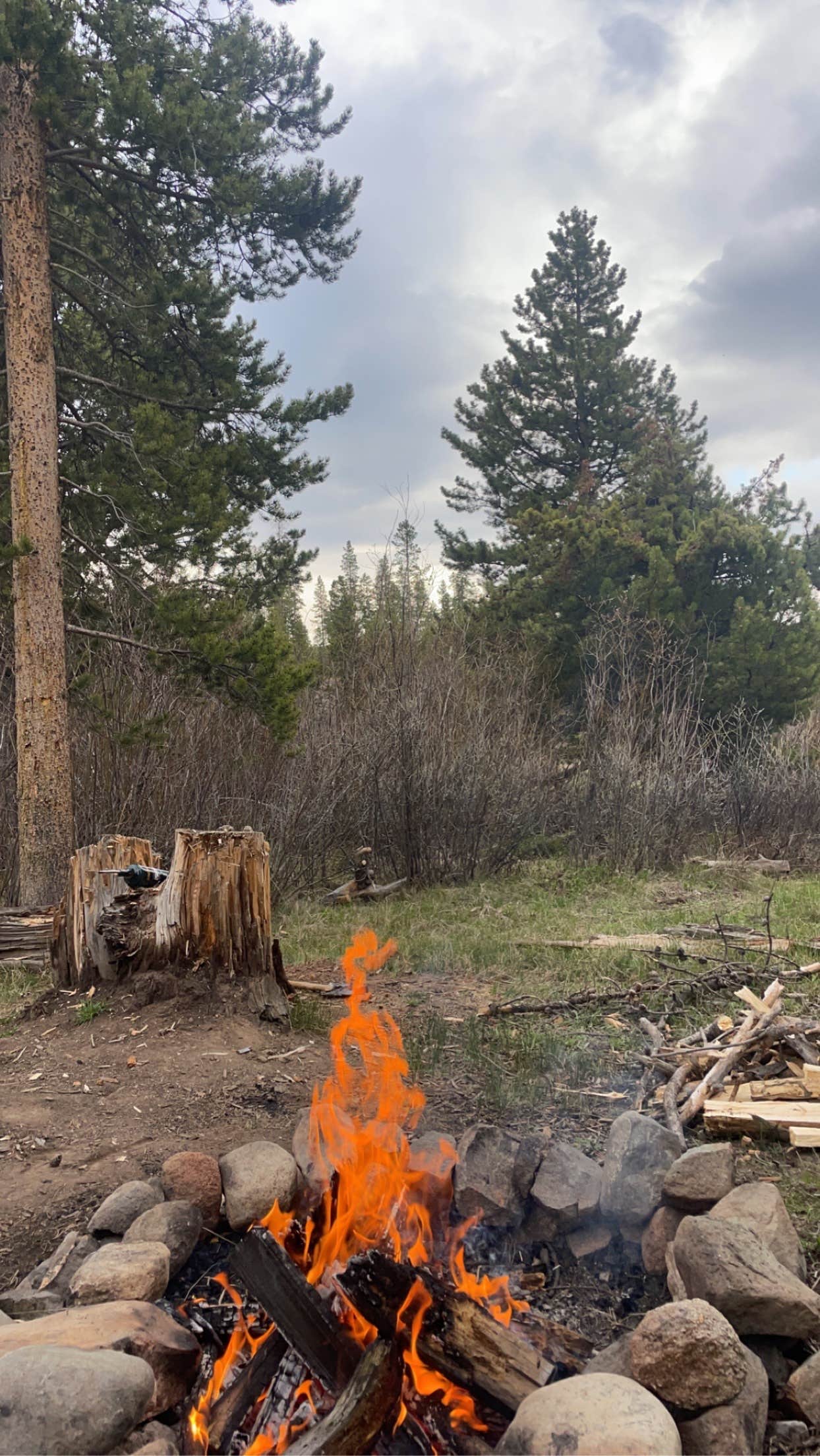Camper-submitted photo at Stillwater Pass Dispersed Campsite near Estes Park, CO