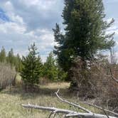 Review photo of Stillwater Pass Dispersed Campsite by Alyssa L., May 21, 2023