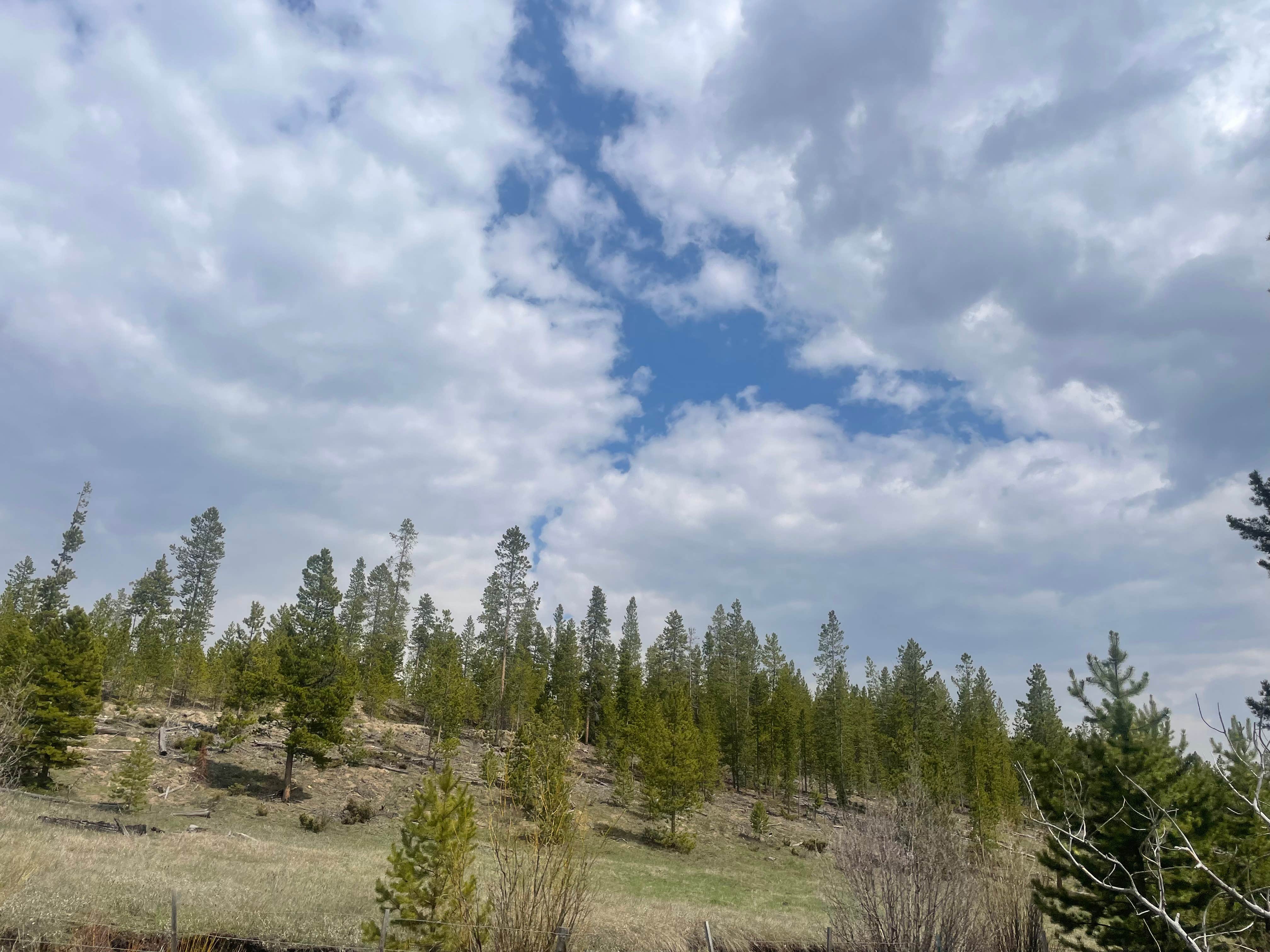 Alyssa L.'s photo of a dispersed camping area at Stillwater Pass Dispersed Campsite near Arapaho and Roosevelt National Forests and Pawnee National Grassland