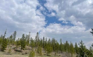 Alyssa L.'s photo of a dispersed camping area at Stillwater Pass Dispersed Campsite near Rocky Mountain National Park