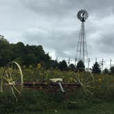 Review photo of South Bass Island State Park Campground by Blythe J., October 11, 2018